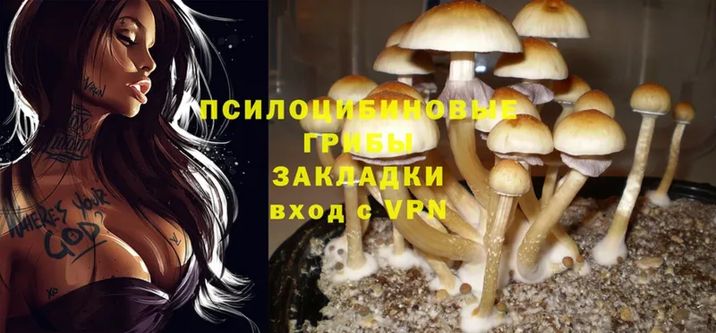 Галлюциногенные грибы Magic Shrooms  Бахчисарай 